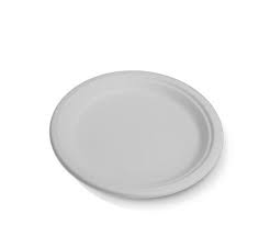 sugarcane 9inch plate