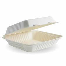 sugarcane 8inch dinnerbox