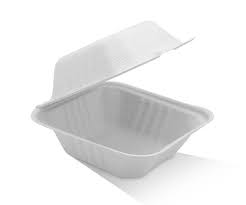 sugarcane regular burger box